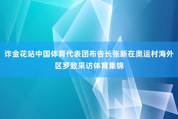 诈金花站中国体育代表团布告长张新在奥运村海外区罗致采访体育集锦