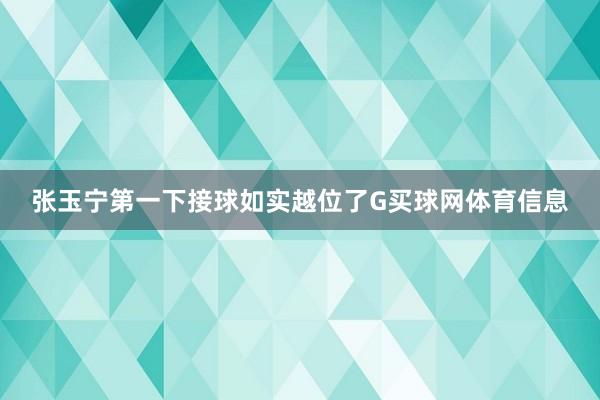 张玉宁第一下接球如实越位了G买球网体育信息