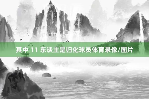 其中 11 东谈主是归化球员体育录像/图片